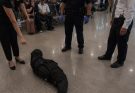I Agreed to Watch a Stranger’s Bag at the Airport – I Regretted It as Soon as Security and Police Arrived.